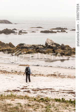 Exploring the beach in the mist morning at Kejimkujik National Park Seaside, Nova Scotia, Canada 108073934