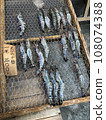 Shrimp 108074388
