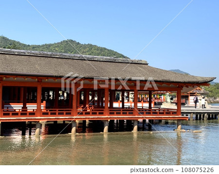 在區內 在區內 108075226