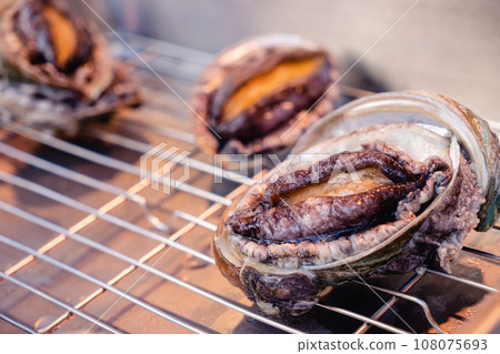 Abalone Live abalone 108075693