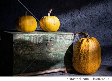 halloween pumpkins ready for carving halloween pumpkins ready for carving 108076325