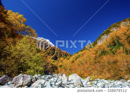 唐澤的彩色羅文 108078512