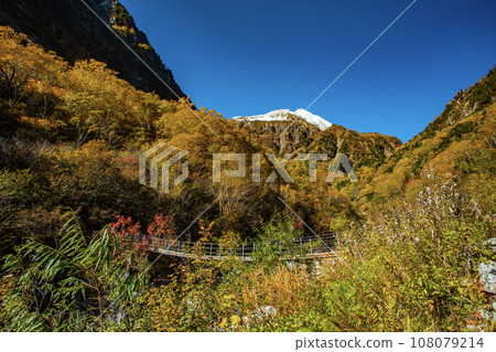 Hontani Bridge surrounded by autumn leaves in Karasawa Hontani Bridge surrounded by autumn leaves in Karasawa 108079214