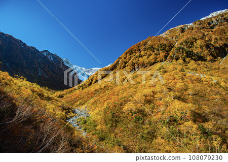 唐澤的 S Galle 和壯觀的秋葉 108079230