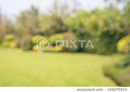 Abstract blur park garden for background Abstract blur park garden for background 108079454