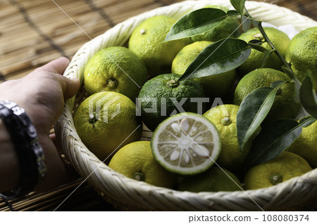 Blue Yuzu Yuzu Yuzu that still has its blue color Blue Yuzu Yuzu Yuzu that still has its blue color 108080374