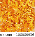 Close-up of Fresh yellow chanterelle or girolle mushrooms as background 108080936