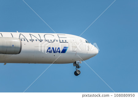 [ANA aircraft Star Alliance in preparation for landing from the sky above Jonanjima Seaside Park] 108080950