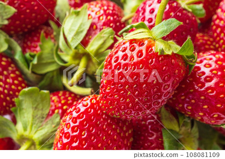 Fresh organic Strawberry fruit background Fresh organic Strawberry fruit background 108081109