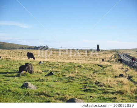 Nagano Prefecture, Utsukushigahara Plateau in the morning, September 108082829