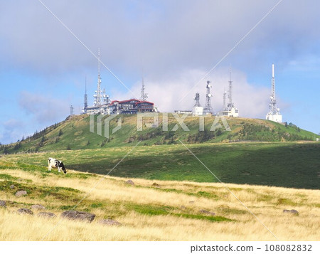 長野縣，放牧的乳牛和大賀山頂，9 月 108082832