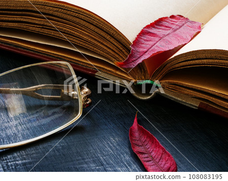 An open book with an autumn leaf as symbol of calm and relaxation while reading. 108083195