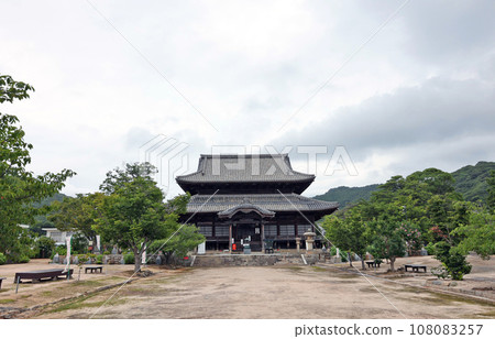 國分寺樟樹 國分寺樟樹 108083257