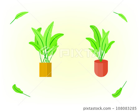 Tropical leaf tree houseplant for decorative vector illustration 108083285