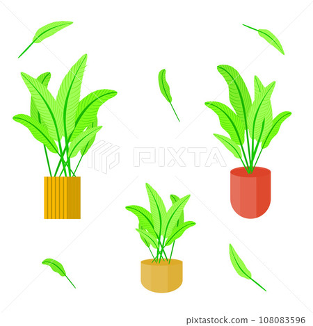 Collection of Plant leaf pot biology ornamental nature vector illustration 1 108083596