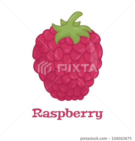 Raspberry with leaf vector icon. Raspberry icon clipart. Raspberry cartoon. 108083675