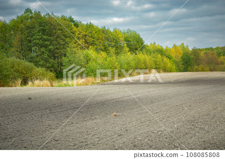 A plowed rural field and an autumn forest A plowed rural field and an autumn forest 108085808