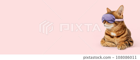 Bengal cat wearing an eye mask, sleep bandage on a pink background. Bengal cat wearing an eye mask, sleep bandage on a pink background. 108086011