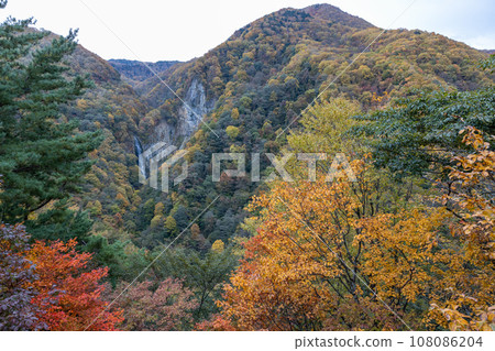Landscape of Ehimeman waterfall in autumn 108086204
