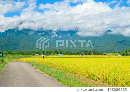 稻田裡行走的人們【安曇野】 稻田裡行走的人們【安曇野】 108086285