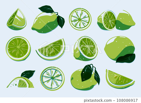 Sliced lime set. Cartoon whole organic citrus fruits, lemon and lime peel segments in flat style, healthy diet elements. Vector isolated collection 108086917