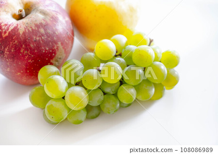 Autumn fruit Niagara 108086989