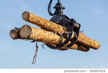 A crane with jaws loads trunks of tree, on blue backgound. 108087826