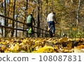 A cyclists rides on way in an autumn landscape 108087831