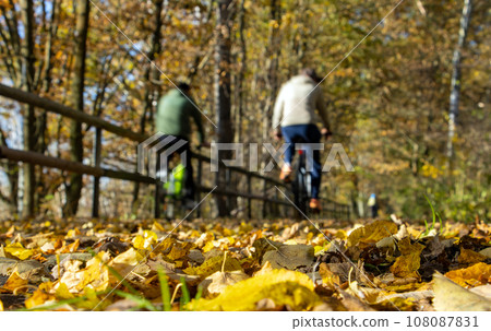 A cyclists rides on way in an autumn landscape 108087831