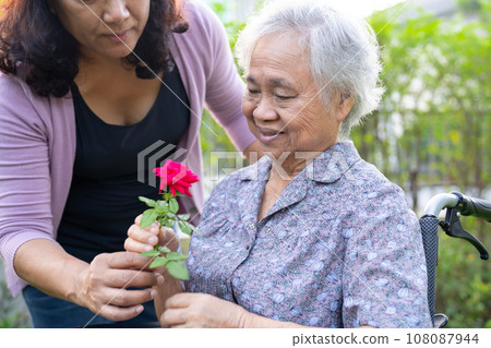 Asian elderly woman holding red rose flower, smile and happy in the sunny garden. 108087944