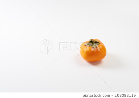 Japanese persimmons on white background 108088119