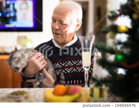 Happy elderly man together with a cat of the Scottish breed celebrates the new year at festive table Happy elderly man together with a cat of the Scottish breed celebrates the new year at festive table 108088476