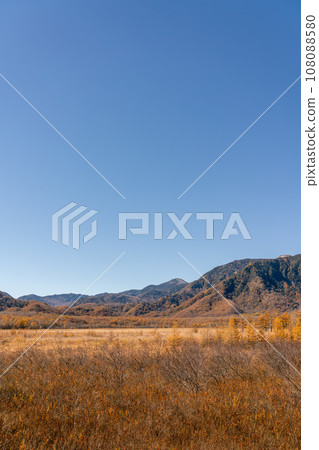 [Tochigi Prefecture] Autumn sunny Okunikko Senjogahara (October) 108088580
