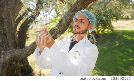 Man with lab coat checking the health of an olive tree touching with hands  108090155