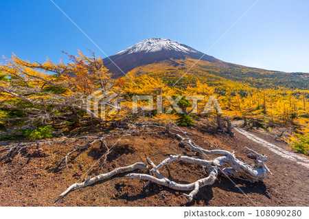 富士山後花園的紅葉，富士山五合目吉田口 108090280