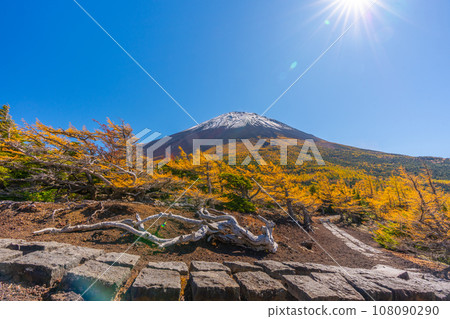 富士山後花園的紅葉，富士山五合目吉田口 108090290