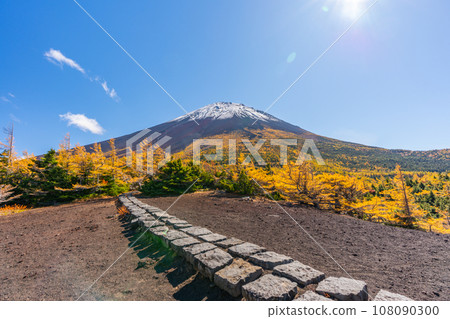 Autumn leaves in the back garden, Mt. Fuji, Mt. Fuji 5th Station, Yoshida Exit Autumn leaves in the back garden, Mt. Fuji, Mt. Fuji 5th Station, Yoshida Exit 108090300