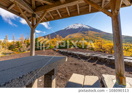 富士山後花園的紅葉,富士山五合目吉田口 富士山後花園的紅葉,富士山五合目吉田口 108090313