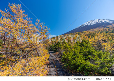 富士山後花園的紅葉,富士山五合目吉田口 富士山後花園的紅葉,富士山五合目吉田口 108090335