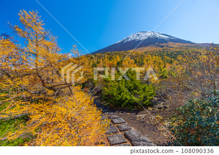 富士山後花園的紅葉,富士山五合目吉田口 富士山後花園的紅葉,富士山五合目吉田口 108090336