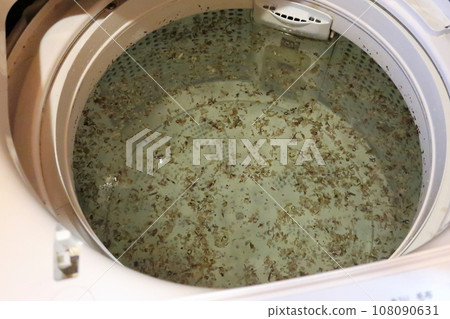 使用洗衣粉漂浮的黴菌和細菌 108090631