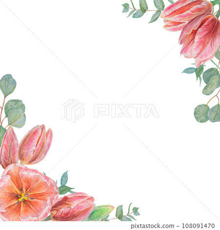 Watercolor hand drawn realistic botanical illustration of pink tulip flowers and eucalyptus branches frame, corners for your design, wedding print products, paper, invitations, cards, fabric, posters Watercolor hand drawn realistic botanical illustration of pink tulip flowers and eucalyptus branches frame, corners for your design, wedding print products, paper, invitations, cards, fabric, posters 108091470