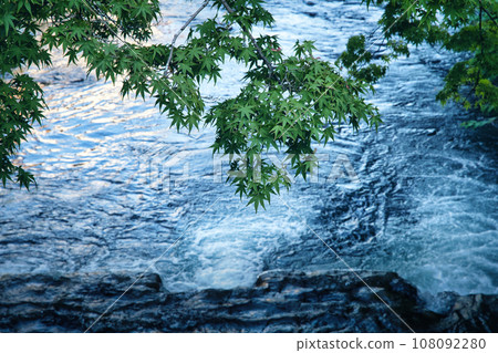 湯河原溫泉鎮清澈的溪流和楓樹 108092280