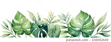watercolor drawing, border, composition with tropical palm leaves and monstera watercolor drawing, border, composition with tropical palm leaves and monstera 108092689