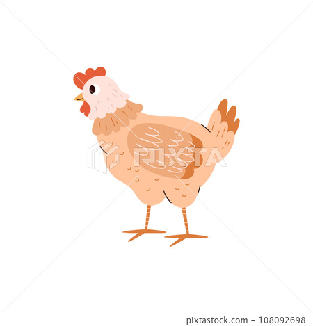 Chicken domestic bird cartoon character, flat vector illustration isolated. 108092698