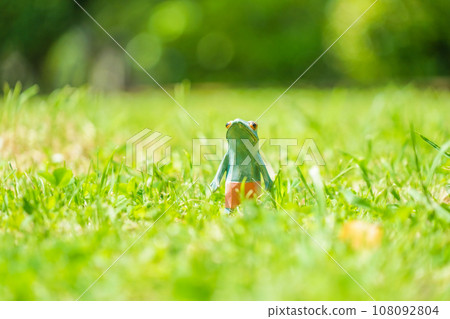 image of frog doll 108092804