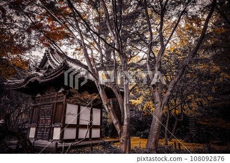 老房子的圖像 108092876