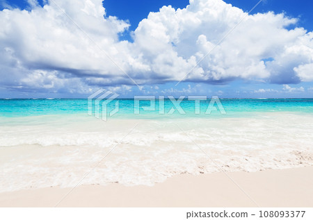 Landscape view of beautiful tropical white sand beach and turquoise sea in sunny day in Punta Cana, Dominican Republic. 108093377