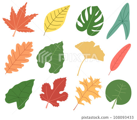Illustration set of various leaves Illustration set of various leaves 108093433