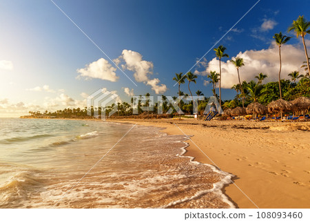 Coconut palm trees on white sandy beach against colorful sunset in Punta Cana, Dominican Republic. 108093460